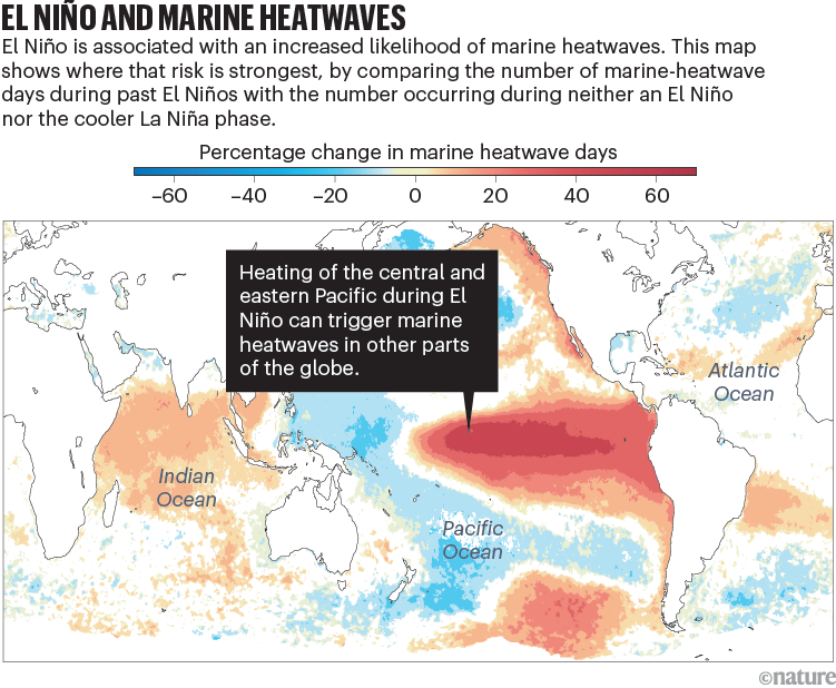El Niño and marine heatwaves. A map showing the percentage change in marine heatwave days.