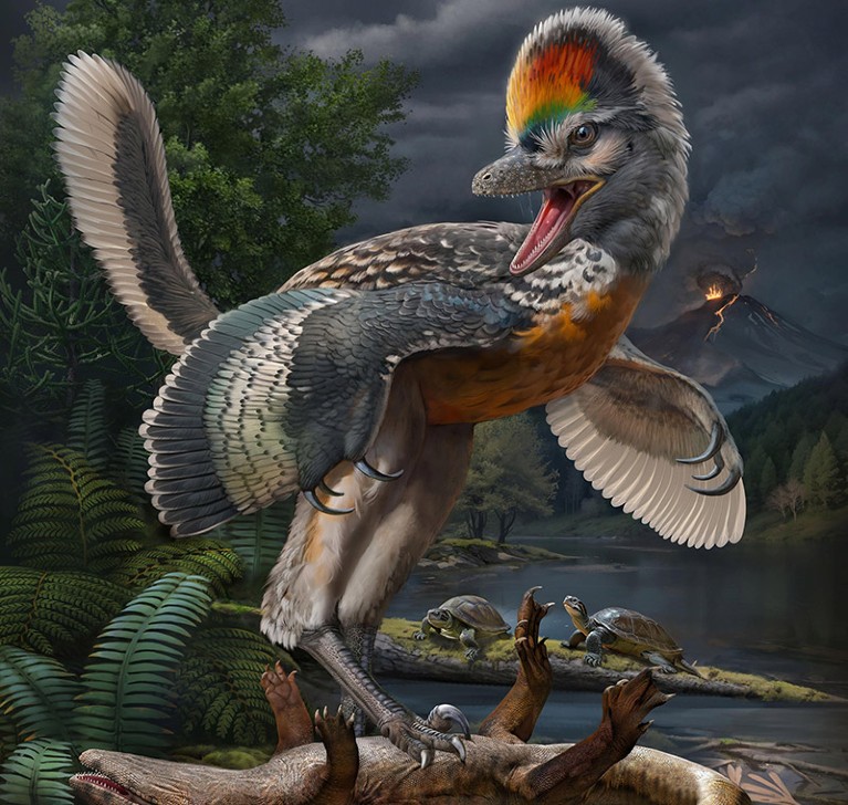 d41586 023 02757 5 25989982 El Misterio del Fujianvenator: El extraño dinosaurio que incita a repensar la evolución de las aves