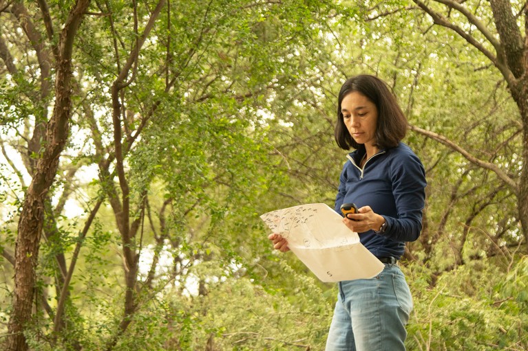 Micaela Camino stood looking at a map and a GPS device in the dry chaco forest of Argentina