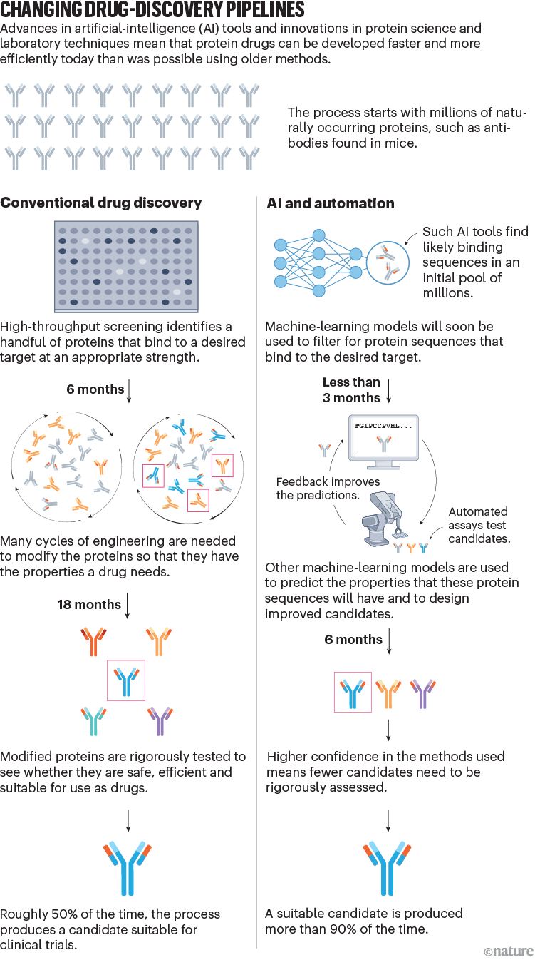 Changing drug-discovery pipelines. A graphic showing the difference between conventional and AI workflows in protein science.