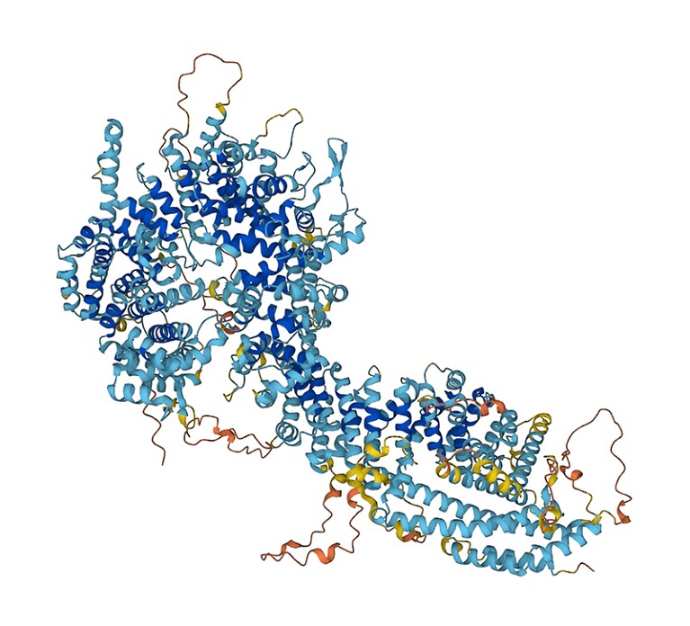 Nuclear pore complex protein Nup205.