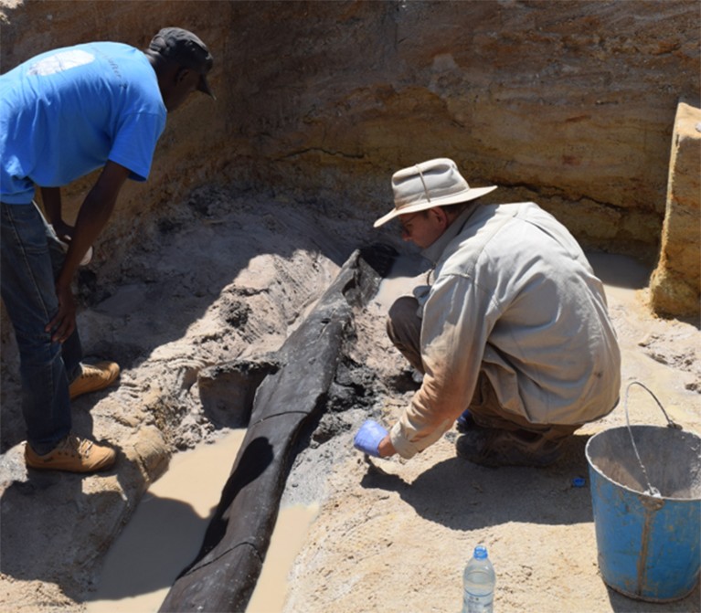 Two people working at an archaeological site.