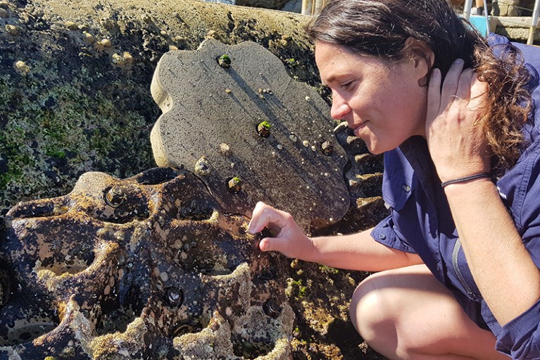 Side-view of Mariana Mayer-Pinto looking at panels on a seawall