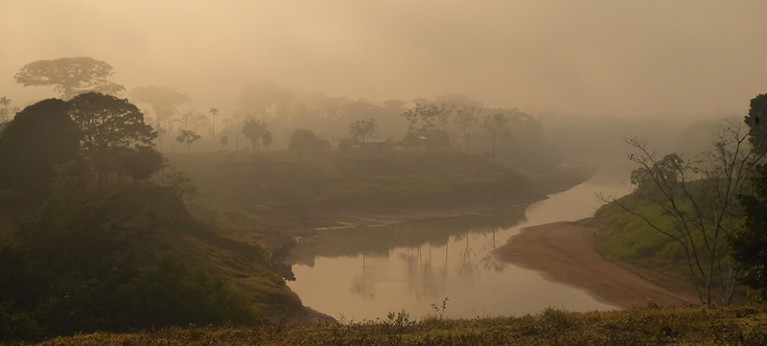 View of a river with trees covering river banks on either side