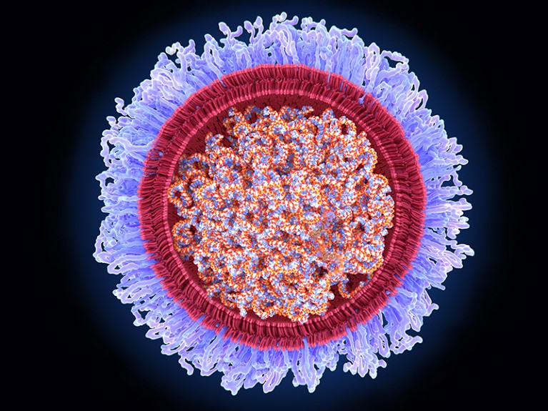 A computer illustration of a Covid-19 RNA vaccine.