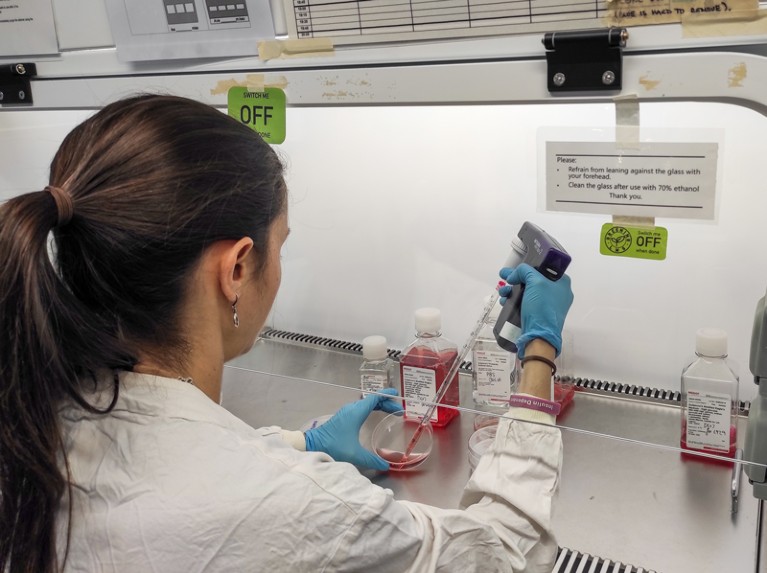 Julia Sanchez-Garrido carrying out cell culture work in sterile conditions in the lab