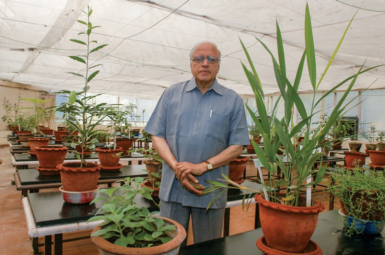 Dr M.S. Swaminathan poses for a portrait while surrounded by plants