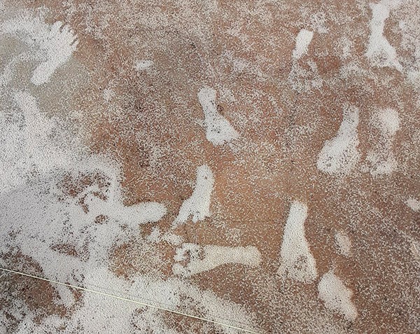 Fossilized human footprints stand out against the sandy beige of the surrounding soil.