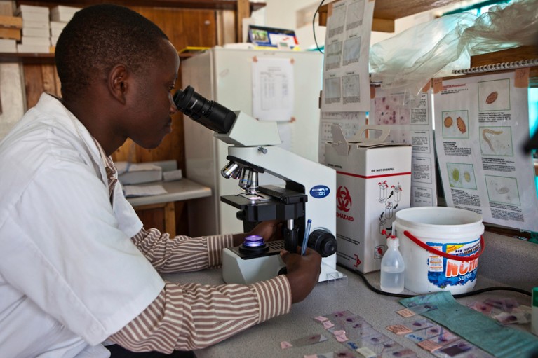 A scientist examines blood samples under a microscope.