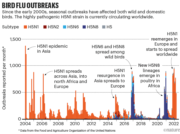 Bird flu outbreaks. Bar chart showing a timeline of seasonal outbreaks since 2004.