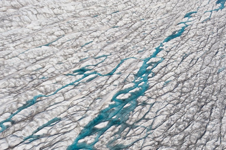 Streams of blue water on a white and grey ice field covered with cracks.