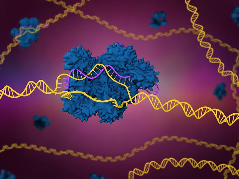 3d rendered artist's impression of the CRISPR-Cas9 genome editing system.