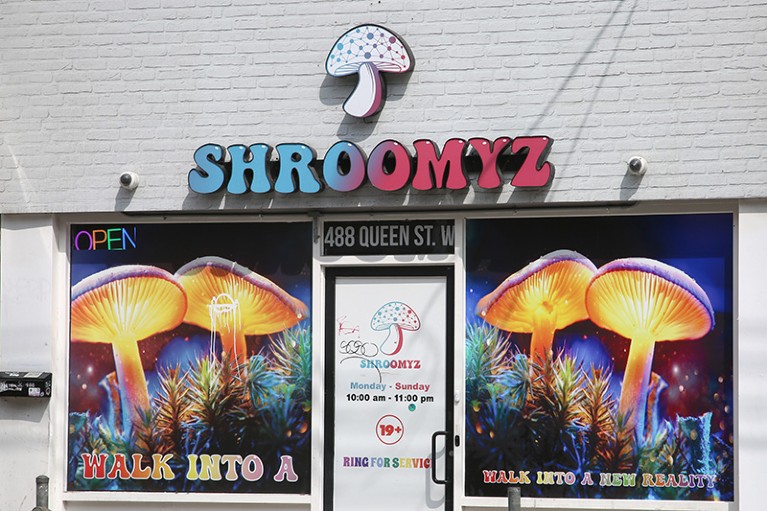A storefront for magic mushrooms, a type of mushroom that contains the drugs psilocybin or psilocin and causes hallucinations.