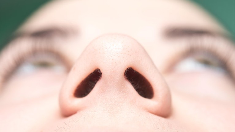 Close-up view of a women's nose, showing a view looking up towards the nostrils.