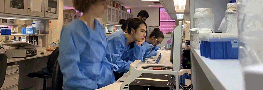 Timelapse video showing scientists testing diagnostic kits in a busy laboratory in Brazil