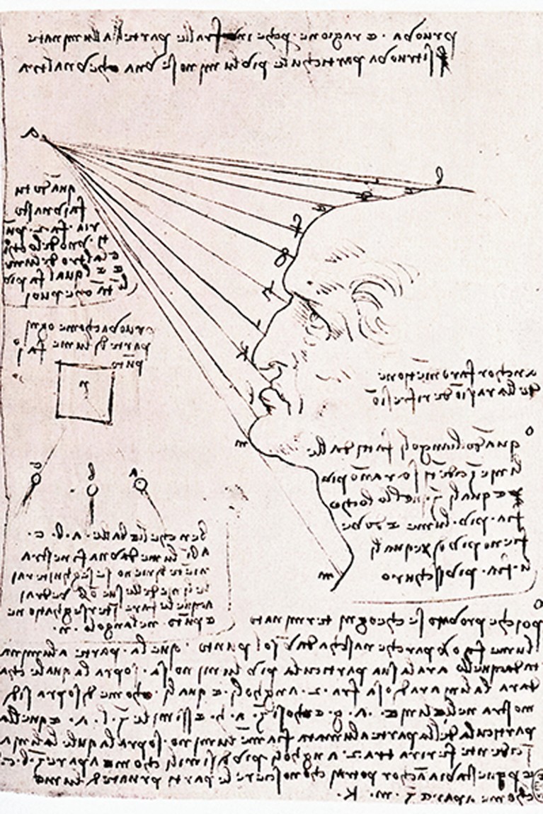 Leonardo Da Vinci - Study Effect Light Profile Head Facsimile C 1488.