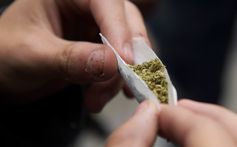 Close-up of a hand rolling a joint.