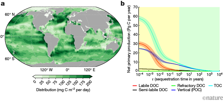 Oceans Can Capture More Carbon Dioxide Than Previously Thought