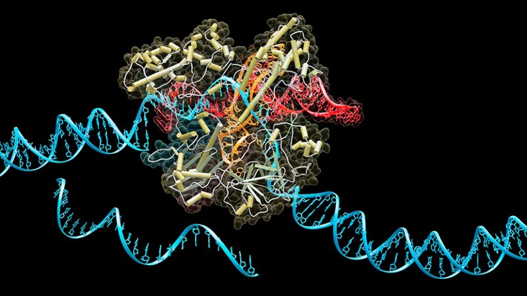 ‘Treasure trove’ of recent CRISPR methods holds promise for genome modifying