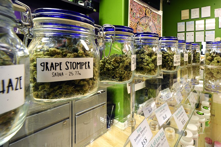 Selections of sativa and indica dominate cannabis strains on display at an adult-use marijuana dispensary in Denver, Colorado, U.S.