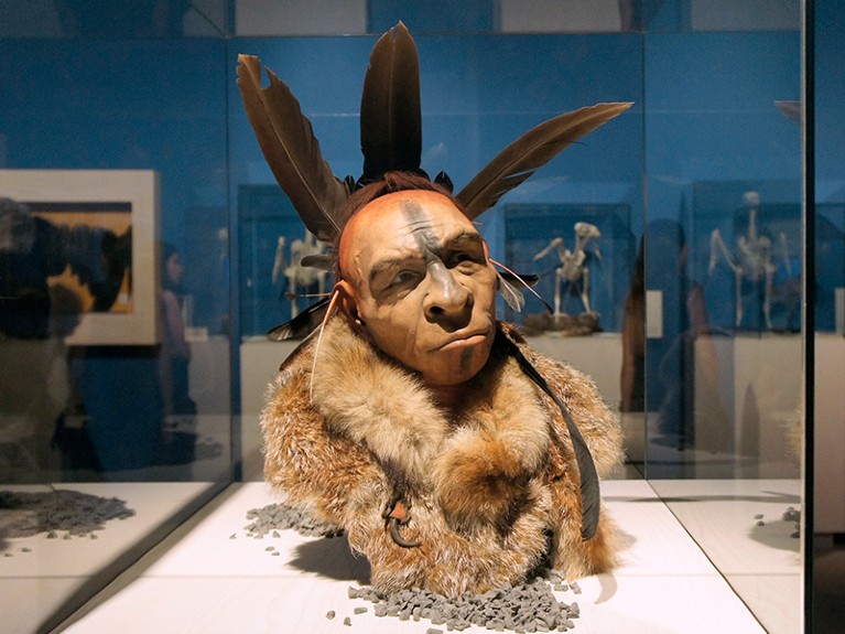 Feathered Neanderthal, museum display. This recreation of a Neanderthal shows the use of ornamental feathers, a theory based on fossils found in the Fumane cave in Italy.