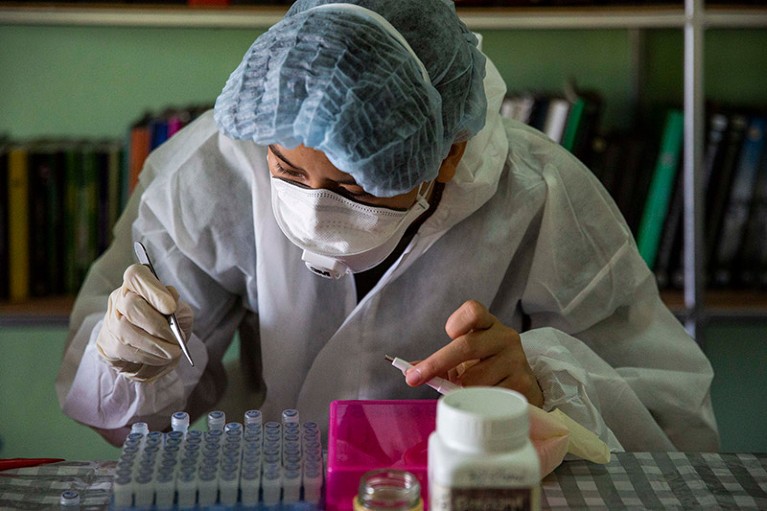 A researcher works with samples from bats at an on site lab near the Khao Chong Pran Cave in Ratchaburi, Thailand.