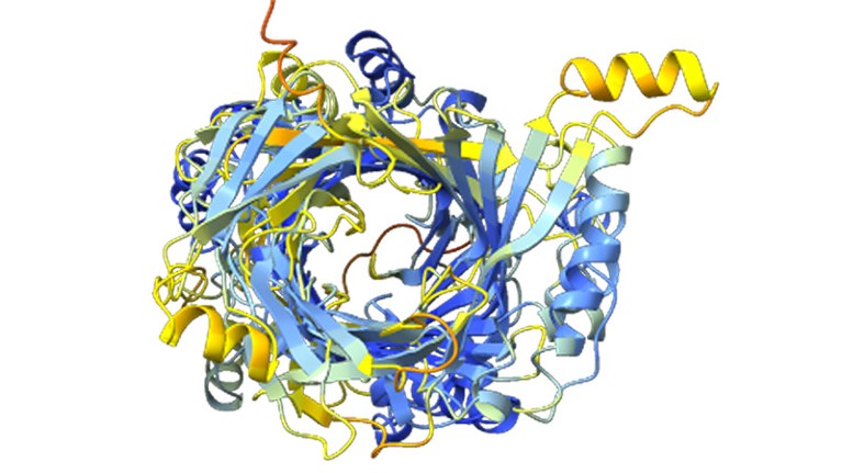 Antiparallel beta helix structure predicted from Archaeovorin-type protein occurring within the genome SR-VP_9_9_2021_34_2B_1_4m_PACBIO-HIFI_HIFIASM-META_416_C.