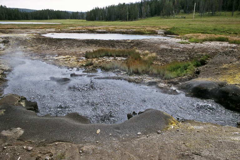 The Obsidian Pool, located about 200 meters from the southwestern shores of Goose Lake in Yellowstone's Mud Volcano area, pictured in 1997.