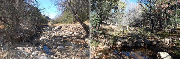 Two images side by side, left is a largely dry stream with exposed rocks on the bed of the stream, on the right a stream of water forming a bond surrounded by many trees and grassland.