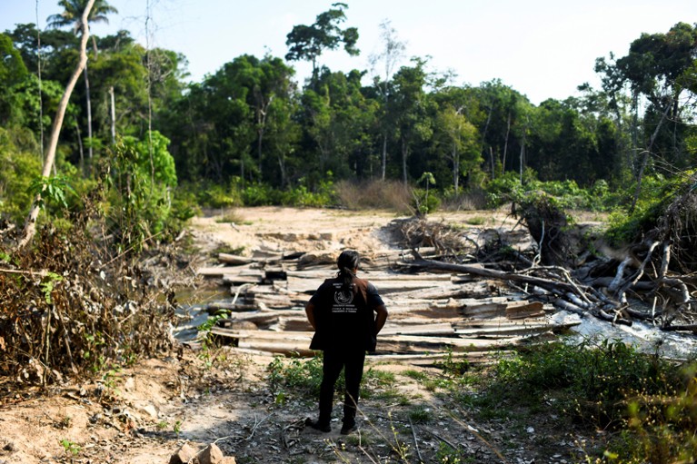 An Indigenous man of the Kayapo tribe looks at logs left by loggers in Brazil