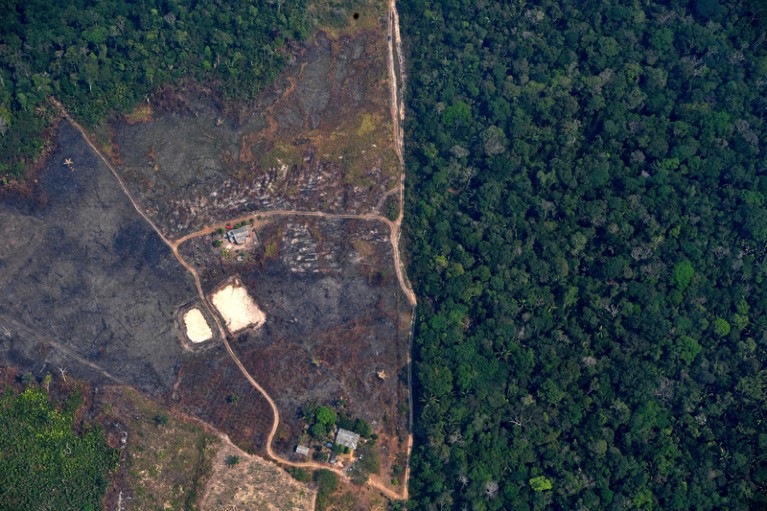 Aerial view of a deforested piece of land in the Amazon rainforest