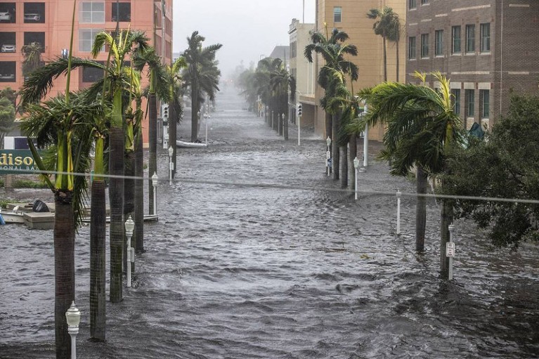 Flooded streets of downtown Fort Myers with palm trees viewed from an apartment building