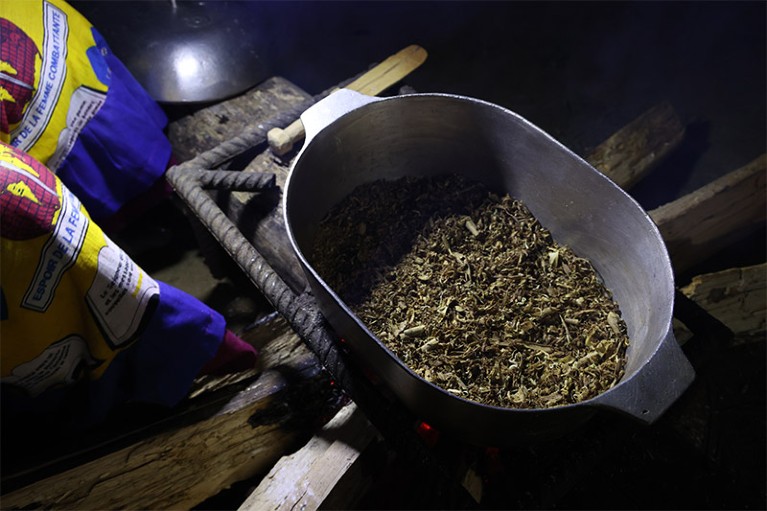 A top down view of shredded Iboga root in a metal pot being prepared by a Bwiti practitioner in Gabon