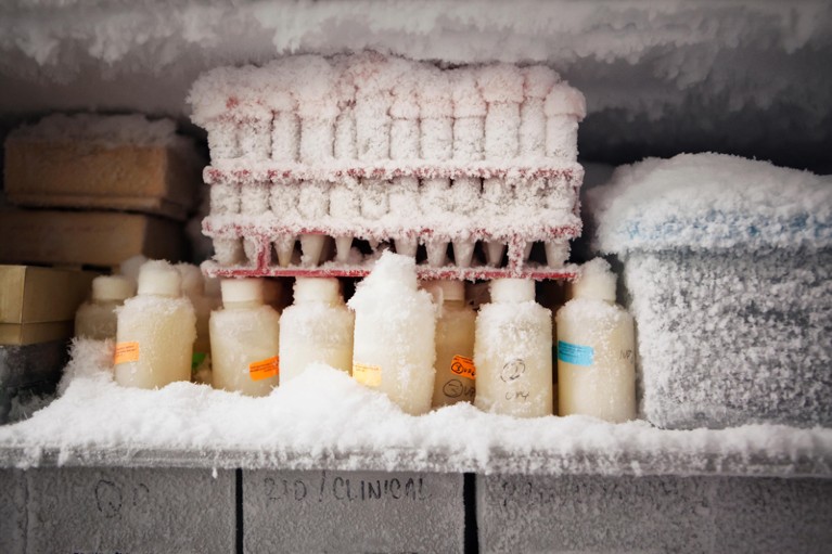 Regule su congelador a -80°C para ahorrar tiempo y evitar que se congelen las yemas de los dedos