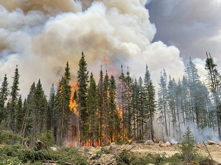 Wildfires burning through a forest at Lebel-sur-Quevillon in Quebec, Canada on June 23, 2023.