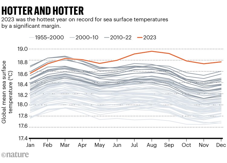 Hotter and hotter: Line chart showing global mean sea surface temperature by month from 1955 to 2023.