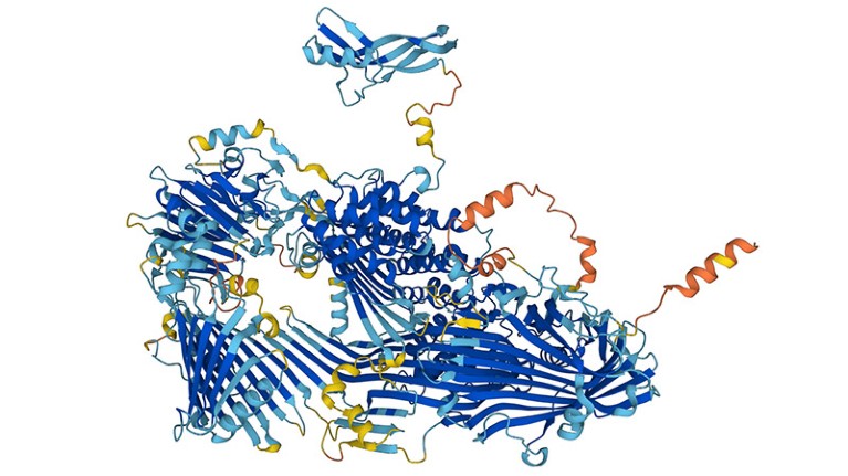 Uma estrutura proteica AlphaFold da proteína Vitelogenina.