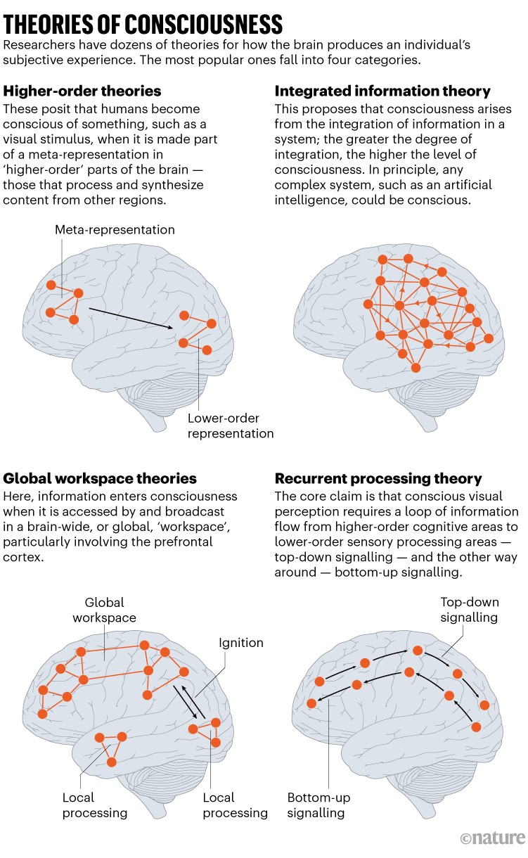 Theories of consciousness: The four most popular categories of explanations for how the brain produces an individual's subjective experience.