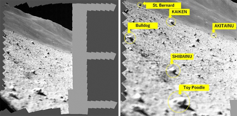 A lunar surface scan mosaic image captured by the SLIM-mounted MBC (left) and its enlarged view (right).