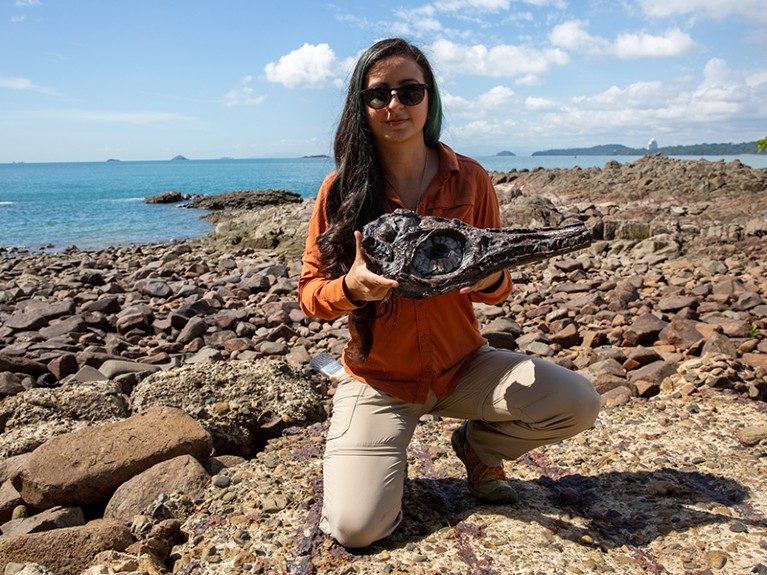 Holding a cast of a Colombian ichthyosaur skull in Panama Bay, Panama City.