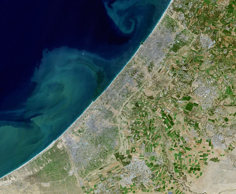 A Sentinal-2 satellite image of Gaza collected on January 10th, 2024.