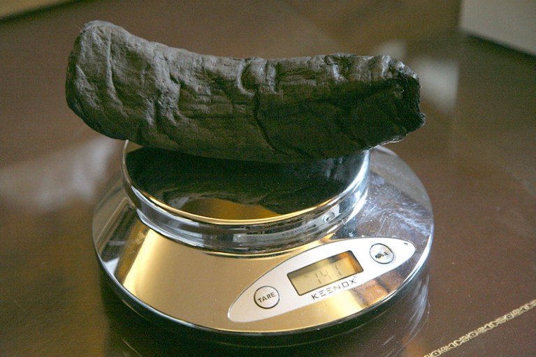 A carbonized scroll rests on weighing scales.