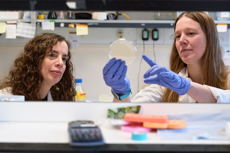 Portrait of Cathy Wilson and Laura Itzhaki working in the lab