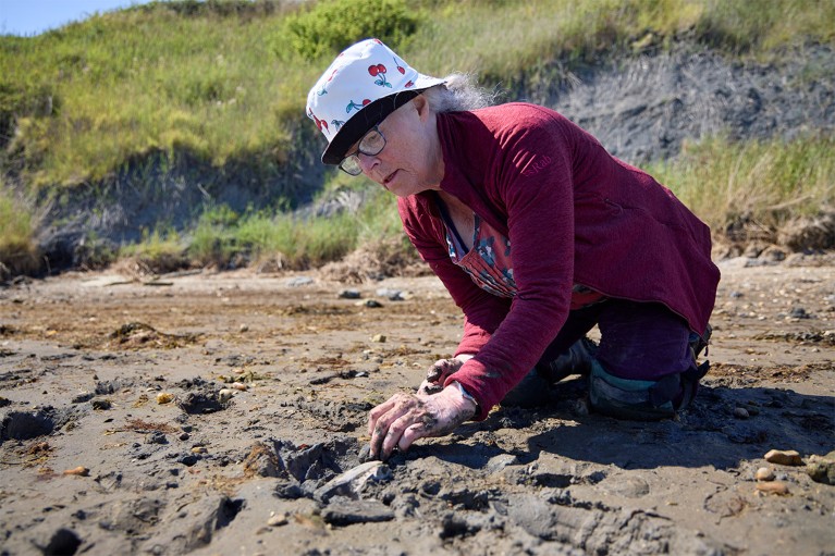 Heather Middleton kneeling on exposed mud as she unearths a fossil on a beach in Dorset, UK