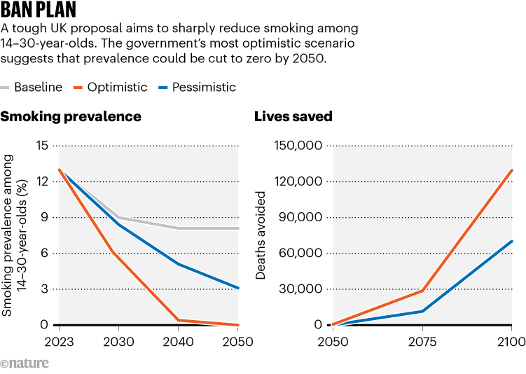BAN PLAN. Chart shows UK government projections for smoking prevalence and lives saved.