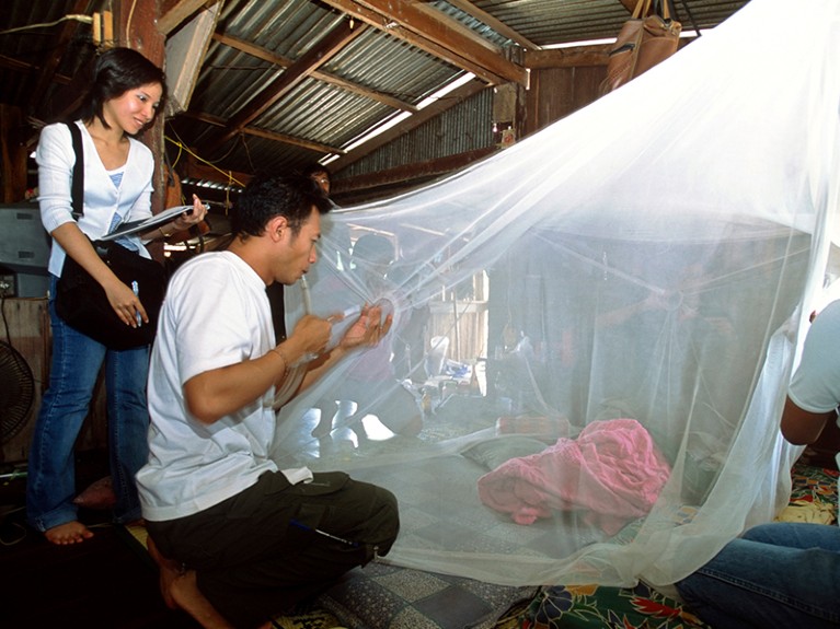 Walairut Tuntaprasart, a young entomologist at the Public Health Department of Mahidol University, Bangkok, and her team are testing mosquito nets impregnated with a new insecticide.