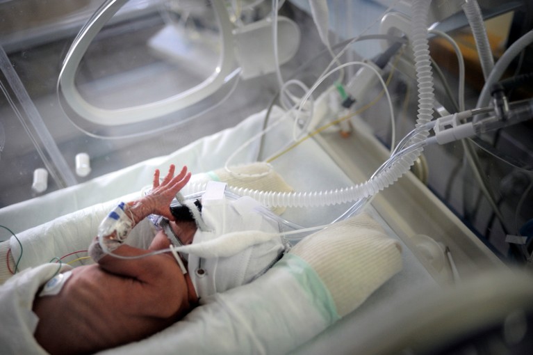 A premature baby in an incubator on a neonatal intensive care unit