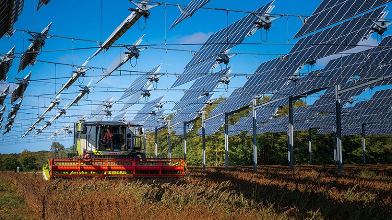 A combine harvester in a field, under hanging solar panels.