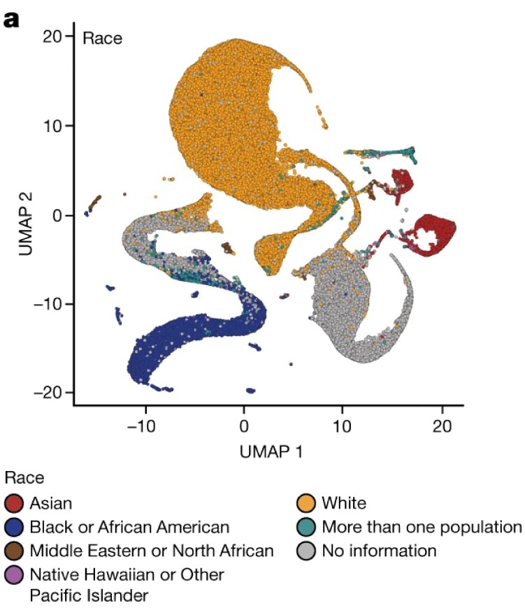 Scientific figure showing a chart with axes labelled 'UMAP 1' and 'UMAP 2' and coloured areas which correspond to race.