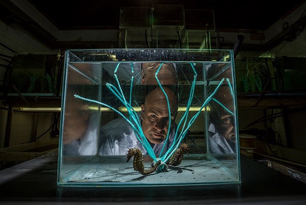 Zeebioloog Jorge Palma tuurt door een aquarium dat wordt gebruikt voor het testen van kunstmatig zeegras gemaakt van nylon en sisal.